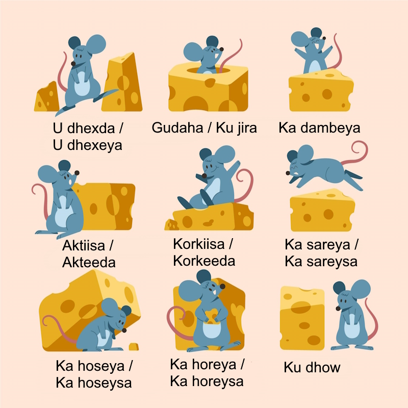 Positions in Somali